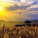 은빛축산 이미지