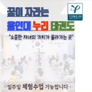 용인대누리태권도장 이미지