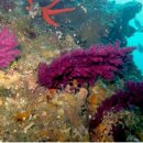 거문당구장 이미지