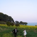 시오스튜디오 - 10997 | 울산 야외스냅 프롬시오 웨딩스냅 내돈내산 촬영 후기