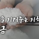웰빙심천식품