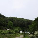 가평교통 주식회사 네이버블로그
