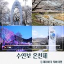 수안보물탕공원_cctv | [충청도/충주]충주 수안보 온천제 총정리/아이와 가기좋은 축제/충주벚꽃축제/충주온천축제