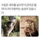 감치농장 | [24년 이탈리아 여행기] 8일차 (10/15)_둥글기도 네모나기도 한 토스카나 소도시/차가운 스위스 부부와...