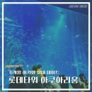 6개월 아기랑 다녀온 롯데월드 아쿠아리움 후기 ｜ 아기와 함께 방문시 유모차, 주차, 할인 꿀팁