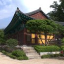중노 이미지