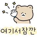 TL태권도 이미지