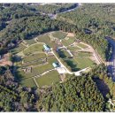 서귀고양이 이미지