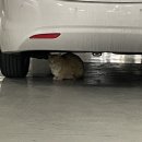 동궁찜닭인동점 이미지