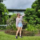 정도카라이프 | 케언즈 쿠란다 투어 후기 스카이레일, 아미덕, 와일드라이프 동물원