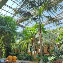 주)미리내 힐빙클럽 내 | 양평 찜질방 미리내 힐빙클럽 뷔페 주말 예약 방문 내돈내산 후기