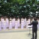 브런치콘서트 이미지