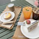 호미호시 이미지