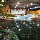 온천스파벨리 이미지