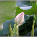옛날추억탕