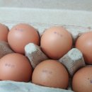 청석농장 이미지