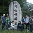 제천 덕동생태숲, 최고의 원시림 숲길을 칸타빌레로 걸은 날 (10. 15 몽산님 진행) 이미지