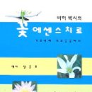 바하-시스템 Daum카페