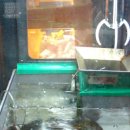 뽑기 생각 이미지