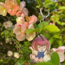 요요플라워 이미지