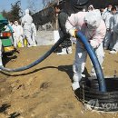 배양1리 이미지