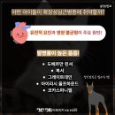 고려동물종합병원 이미지