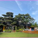 양평소나무펜션 이미지