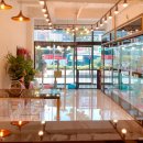 천안고양이 분양 퍼스트캣 본점 이미지