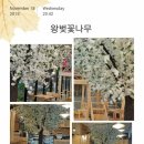 알럽커피 - 부여군 백제문로 387 | 알럽커피