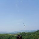 봉양목장 Daum카페