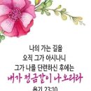 전광훈목사 다니엘 7년 대환란 이미지