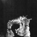 가온누리 태권도 이미지