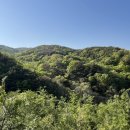 토함산마이웨이 이미지