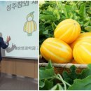 다혜농장 네이버블로그