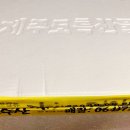 제주동문수산시장 이미지