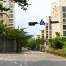 코아루(좌) 이미지