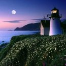 등대지기안경 이미지