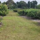 동부농장 이미지