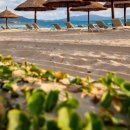 젠틀리조트 이미지