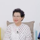 부르고파 이미지
