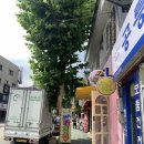 따거빙탕후루