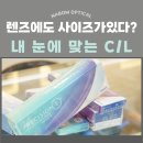 콘택트렌즈는 내 눈 사이즈에 맞게 구매하세요. (feat. 닥터지 하드렌즈 처방후기)