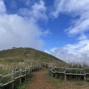 다온택시노동조합 | 복쟉복쟉 1박2일_강원도 여행기 /민둥산 등산후기 ☁︎