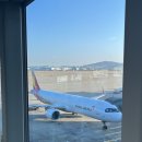 도쿄여행 숙소추천 / 시부야 중심에서 머무른 하룻밤 - 시부야 토부호텔 솔직후기(내돈내산)