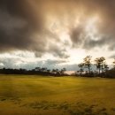 대명설악컨트리클럽 이미지