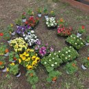 시영농장 이미지