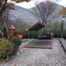 숲스토리야영장 이미지