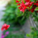 서하리마을회관 이미지