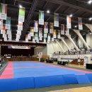 고양최강태권도장 이미지