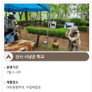 서울암사동유적 이미지